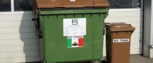 Eine große und eine kleine Biotonne stehen nebeneeinander.