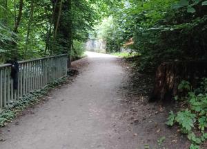 Weg umringt von Bäumen und Zaun.