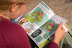 Kind schaut sich Heft mit bunten Seiten an.