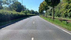 Straße von Bäumen und Sträuchern umgeben