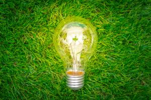 Eine Glühbirne liegt im Gras.