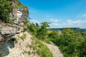 Blick auf einen Wanderweg. Im Hintergrund sieht man die Stadt Jena.