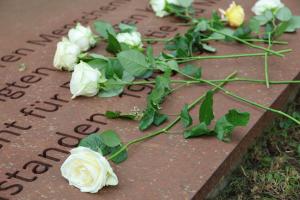 Rosen auf Gedenktafel
