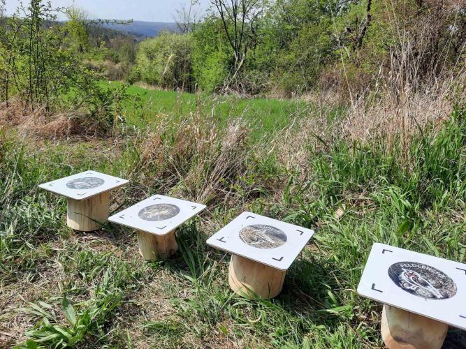 Leitsystem mit Schildern, die in Bödennähe angebracht sind, im Grünen