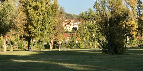 Eine Parklandschaft im Herbst, im Hintergrund der Fuchsturm