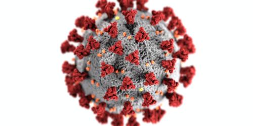 Eine Simulation eines Corona-Virus