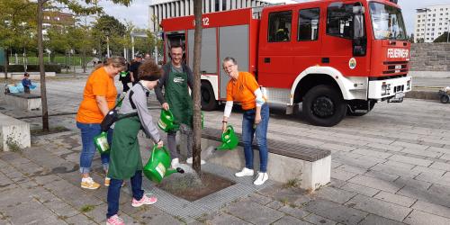 Vier Personen gießen einen Baum, im Hintergrund ein Feuerwehrwagen