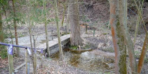 Eine Brücke in einem Waldgebiet