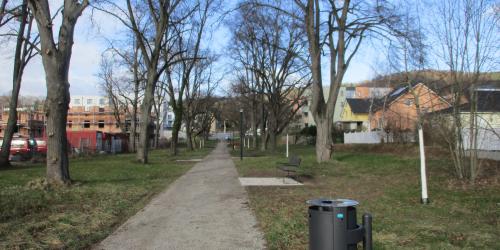 Ein Weg mit Linden am Wegesrand und neuen Bänken