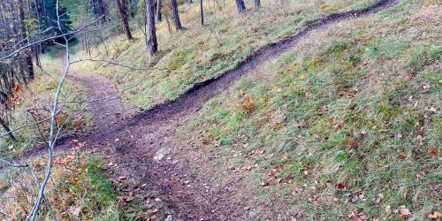 Zwei sich querende Wege