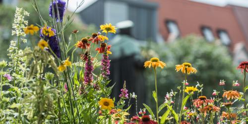 Der Jenaer Markt mit Blumen