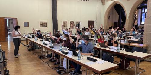 Abstimmung im Stadtrat. Jeder Stadtrat hat eine Hand gehoben.