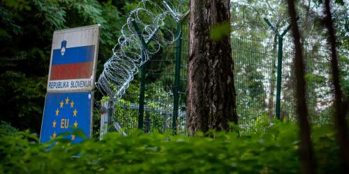 Eine Grenze im Wald