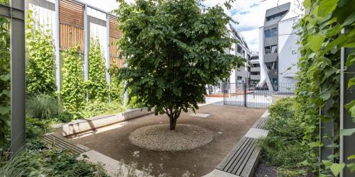 Foto zeigt Parkausschnitt mit Sitzbänken am Rand, grüner Wand und großem Baum in der Mitte.