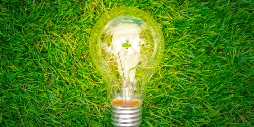 Eine Glühbirne liegt im Gras.