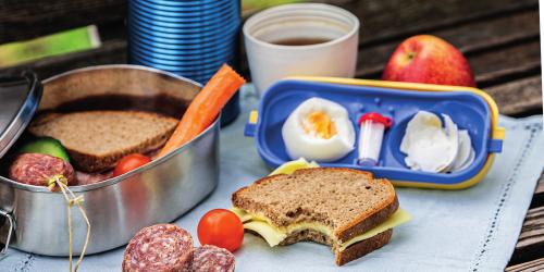 Picknick: Auf einer Bank liegen auf einem Tuch verschiedene Lebensmittel u.a. in Mehrwegdosen.