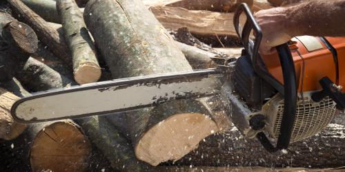 Ein Mann zersägt mit einer Kettensäge einen Baumstamm.