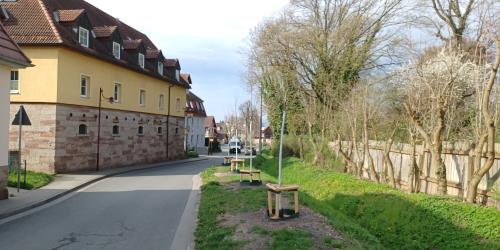Baumpflanzungen Alte Dorfstraße in Jena Drackendorf