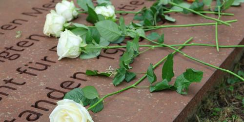 Rosen auf Gedenktafel