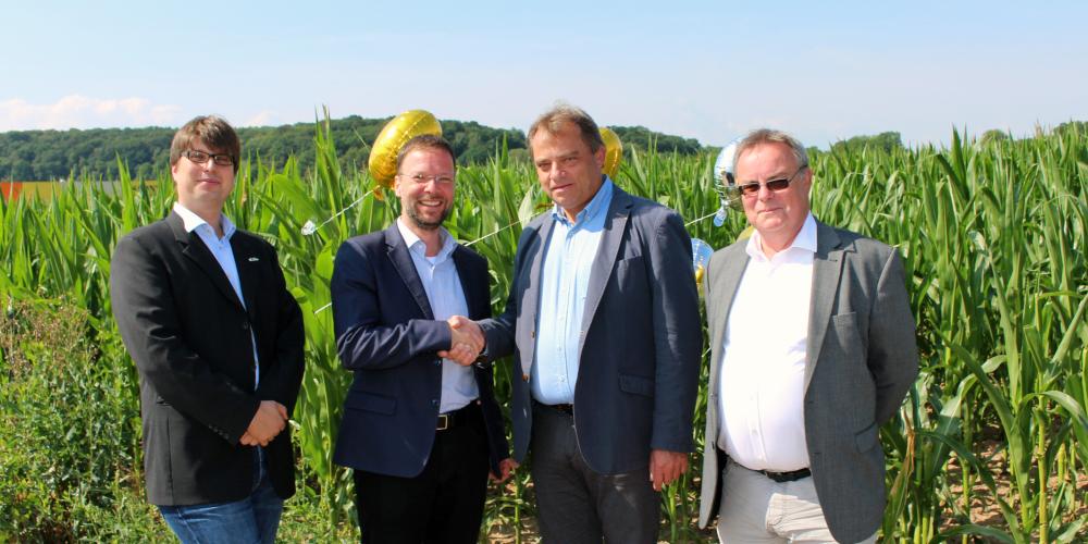 Dr. Thomas Nitzsche (OB Jena) und Matthias Kühne (Bürgermeister Rothenstein) stehen vor einem Maisfeld und geben sich die Hand. Links von ihnen steht Markus Henkenmeier (Wirtschaftsförderung Jena) und rechts Martin Pfeiffer (JenA4 Gmbh).