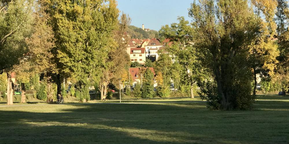 Eine Parklandschaft im Herbst, im Hintergrund der Fuchsturm