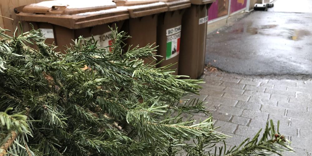 Ein alter Weihnachtsbaum liegt auf der Straße