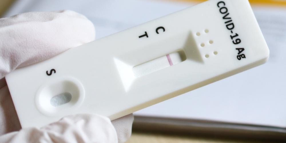 Eine Hand hält einen Schnelltestchip