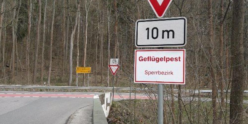 Eine Einmündung in eine Bundesstraße mit einem Schild mit dem Vermerk Geflügelpest, Sperrbezirk