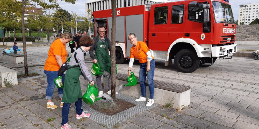 Vier Personen gießen einen Baum, im Hintergrund ein Feuerwehrwagen