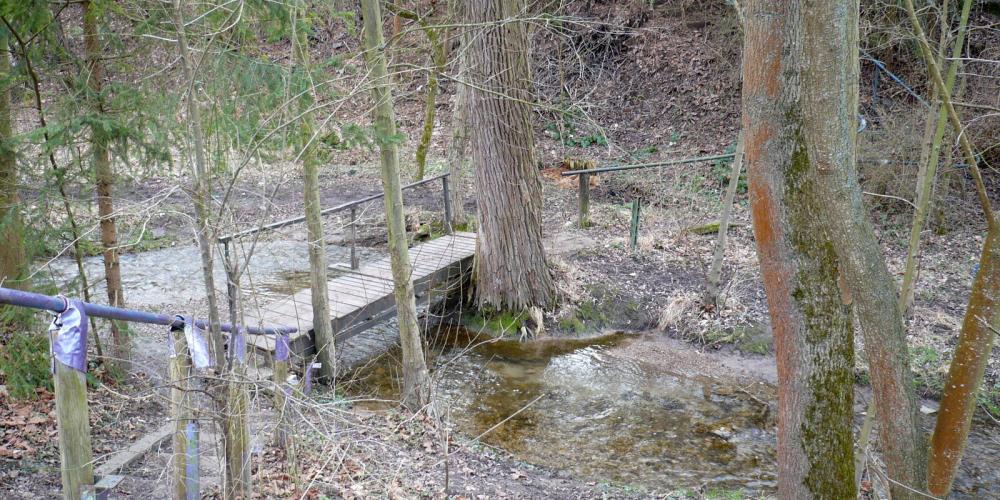 Eine Brücke in einem Waldgebiet
