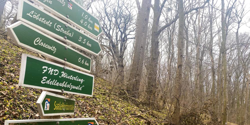 Ein Wanderschild nach Closewitz