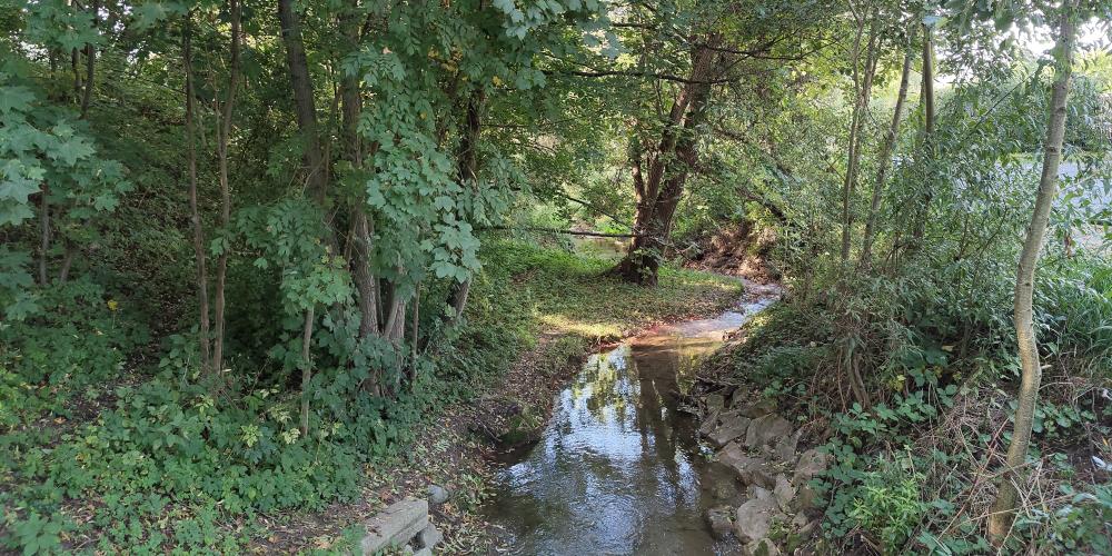 Der Gembdenbach führt noch Wasser.