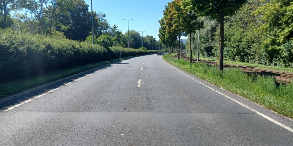 Straße von Bäumen und Sträuchern umgeben