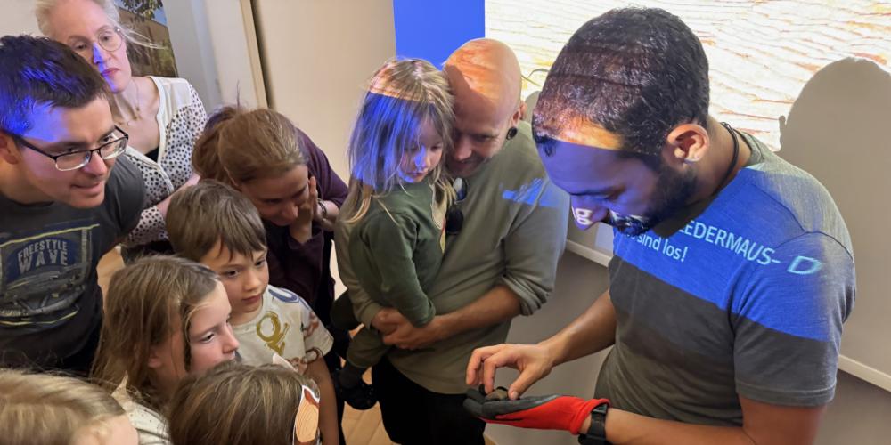 Präsentation einer Fledermaus