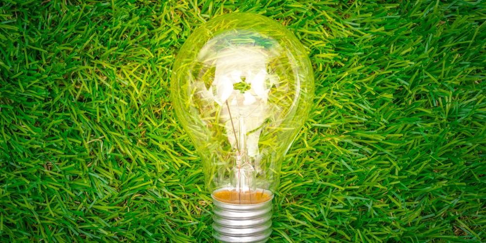 Eine Glühbirne liegt im Gras.