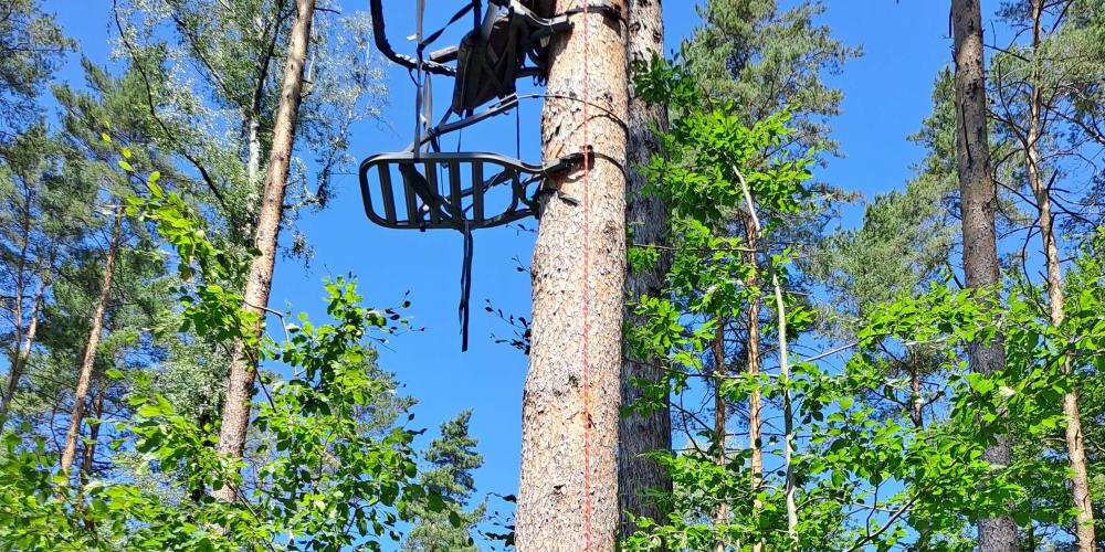 Klettersitz am Baum im Wald.