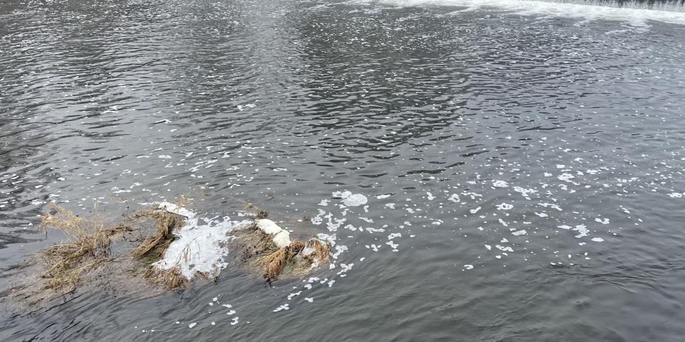 Schaum auf der Saale