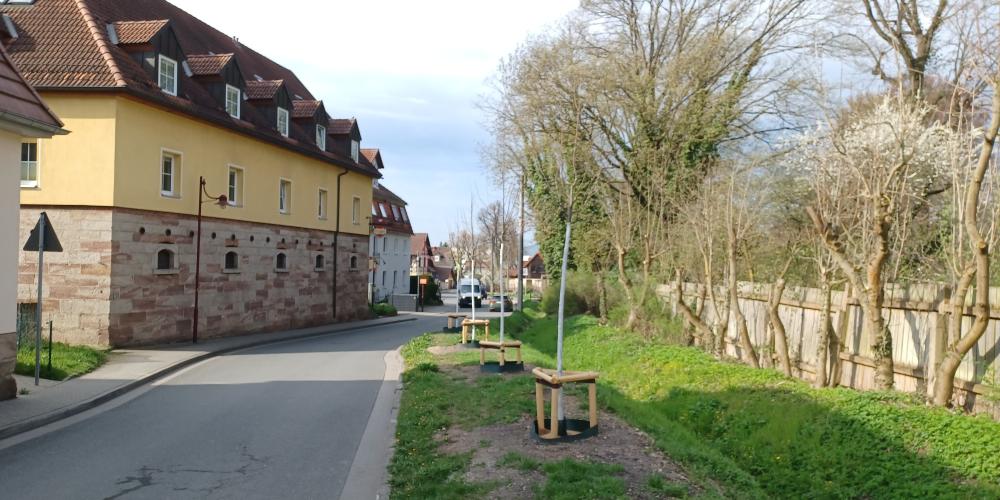 Baumpflanzungen Alte Dorfstraße in Jena Drackendorf