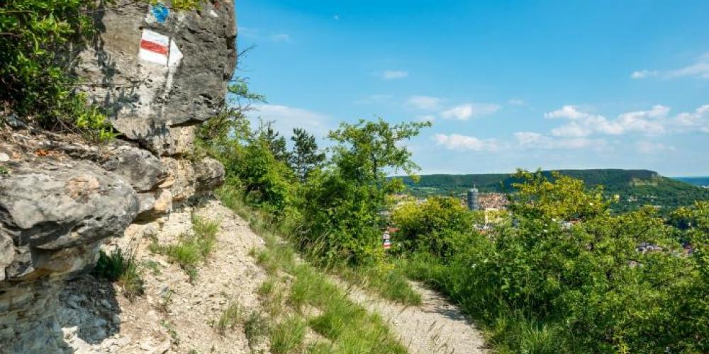 Blick auf einen Wanderweg. Im Hintergrund sieht man die Stadt Jena.