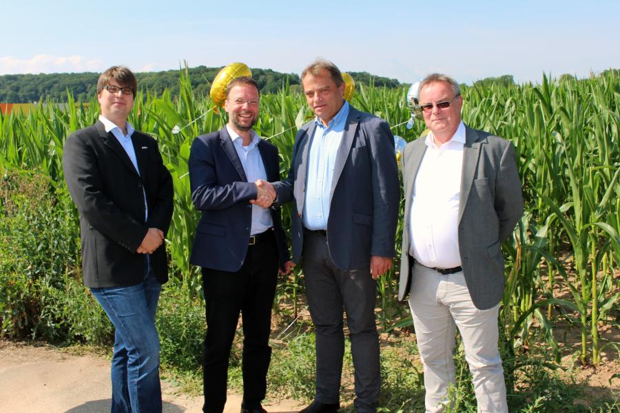 Dr. Thomas Nitzsche (OB Jena) und Matthias Kühne (Bürgermeister Rothenstein) stehen vor einem Maisfeld und geben sich die Hand. Links von ihnen steht Markus Henkenmeier (Wirtschaftsförderung Jena) und rechts Martin Pfeiffer (JenA4 Gmbh).