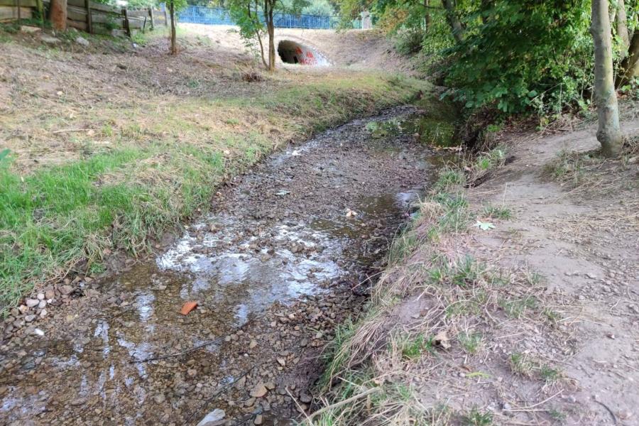 Ein Bach mit wenig Wasser