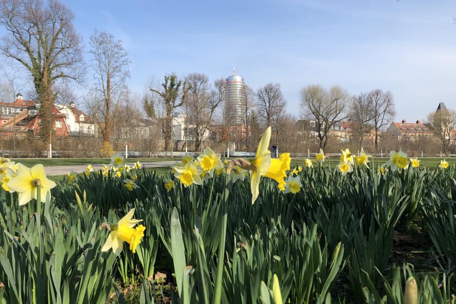 Jena Paradies