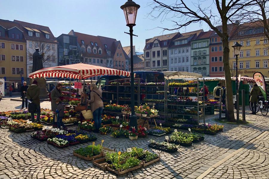 Eine Marktszene in Jena: Blumen und Menschen