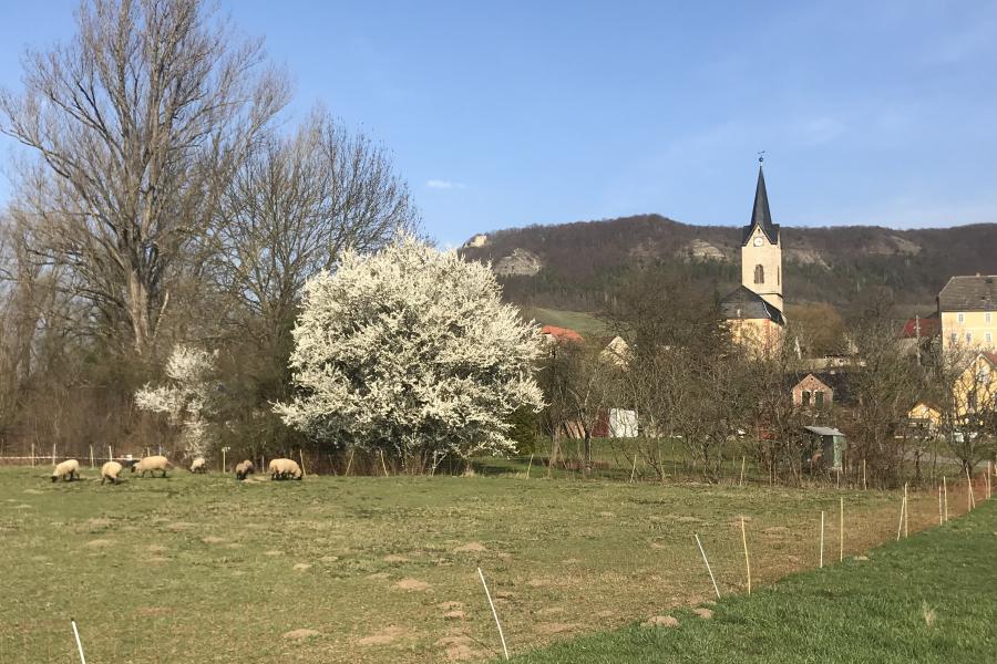 Ein Dorf mit einem blühenden Baum
