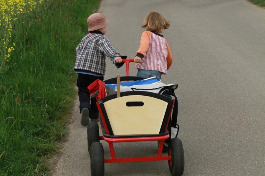 2 Kinder ziehen einen Bollerwagen auf einem asphaltierten Weg