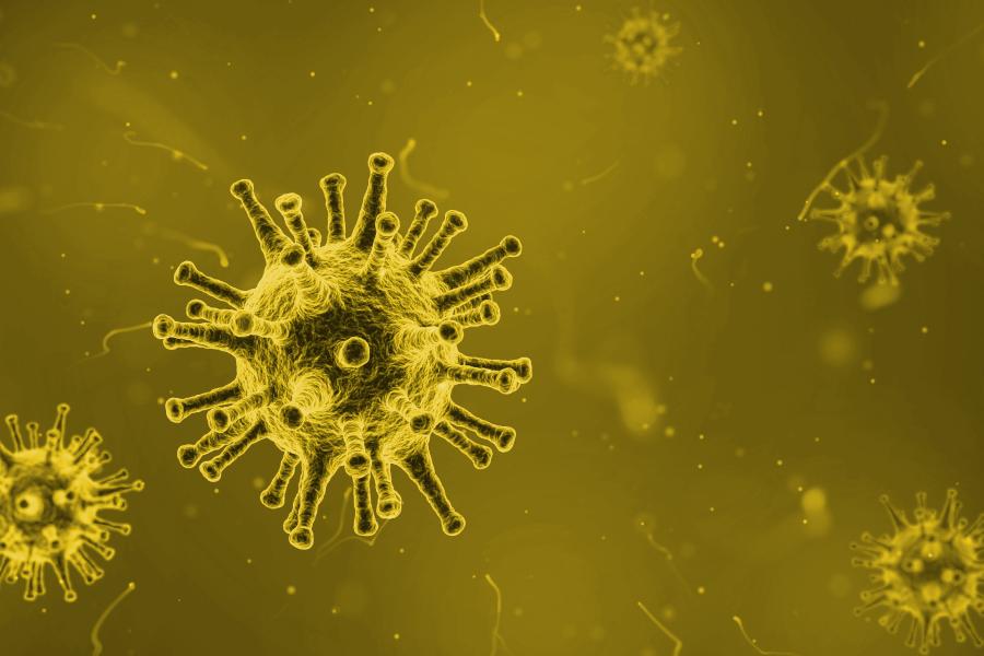 Ein Corona-Virus