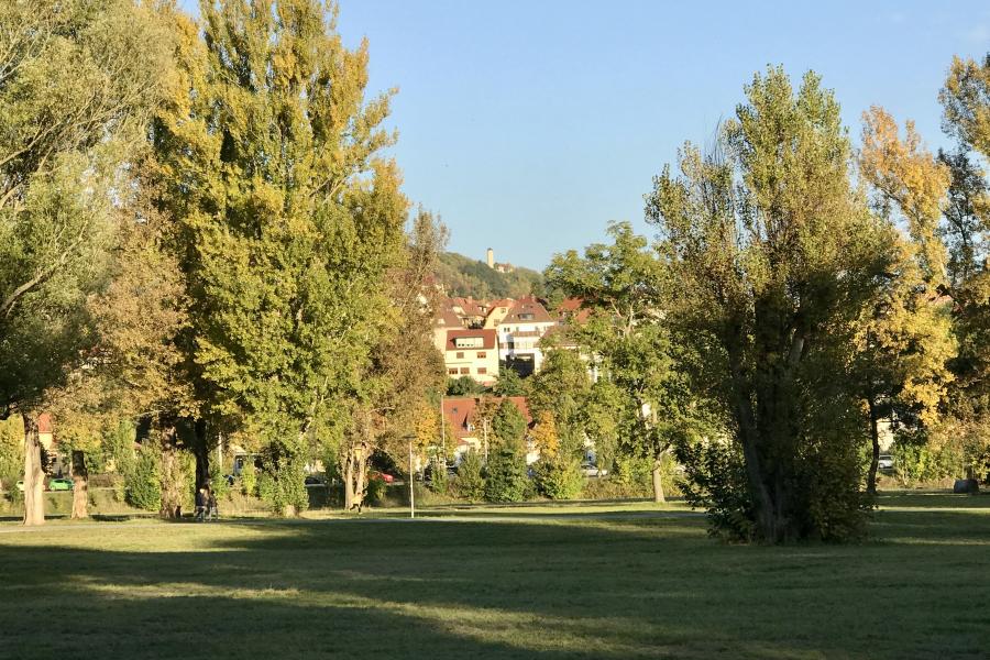 Eine Parklandschaft im Herbst, im Hintergrund der Fuchsturm