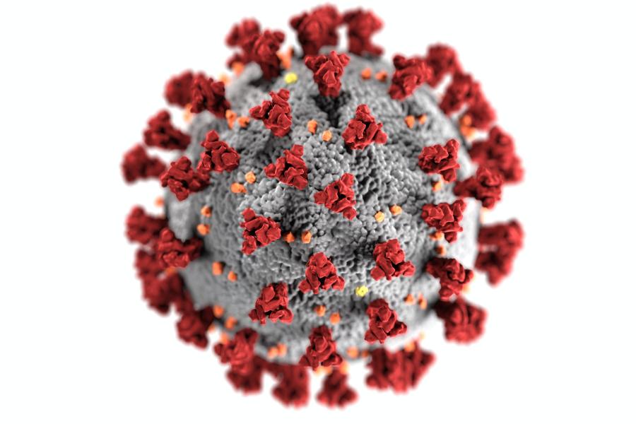 Eine Simulation eines Corona-Virus