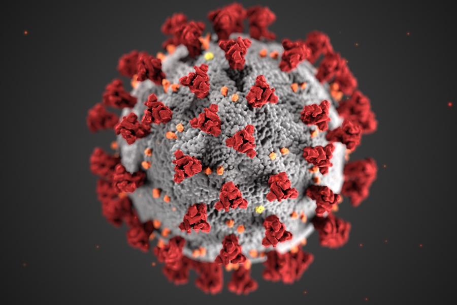 Das Coronavirus vergrößert betrachtet: eine graue rauhe Kugel mit roten Ausstülpungen rundherum