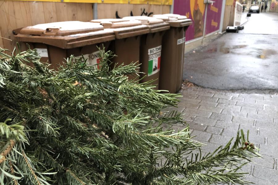 Ein alter Weihnachtsbaum liegt auf der Straße